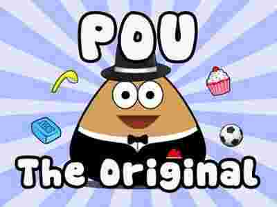 Pou pet